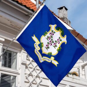 Connecticut State Flag Embroidery & Printed for Pole Car Boat Garden
