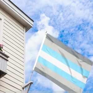 Demi Boy Demiboy Flag