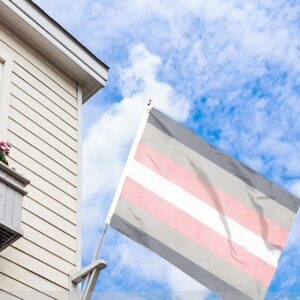 Demi Girl Demigirl Flag