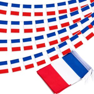 France Bunting Flags Garden Decor Conference & Meeting Room Decoration