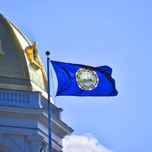 New Hampshire State Flag Embroidery & Printed for Pole Car Boat Garden